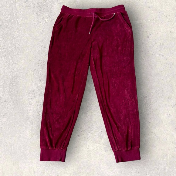 Gap Velour 2 Piece Track Pant Sweater Set Crimson Size Small - Picture 6 of 16